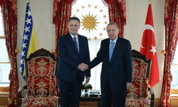 Erdoğan, Bosna Hersek Devlet Başkanlığı Konseyi Üyesi ile görüştü