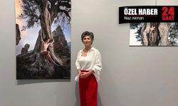 Kültür mirası zeytin ağaçlarıyla “Uyanış” mesajı