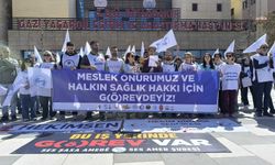 Sağlık çalışanlarından 'çok dilli hizmet' çağrısı