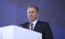 Yerlikaya'dan sokak hayvanları açıklaması: Gereğini yapmak zorundayız