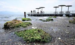 İzmir Körfezi’nde kirlilik alarmı: TBMM’den acil müdahale çağrısı
