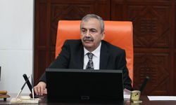 Sırrı Süreyya Önder'in kızından yeni açıklama: "Nefretiniz sonraya saklayın"