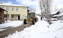 Muş'ta kar yağışı etkili olmaya devam ediyor
