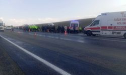 Ali Yerlikaya'dan Van-Hakkari karayolundaki kazaya ilişkin paylaşım
