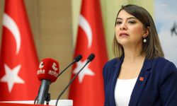 CHP'li Taşcıer: 'Direnmekten başka bir çaremiz yok'
