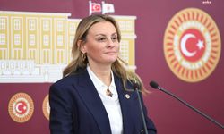 DEVA Partisi'nde istifa!