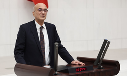 Doğum politikaları Meclis gündeminde: CHP'li Bingöl’den soru önergesi
