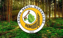 Resmi Gazete'de yayımlandı: OGM 105 personel alacak! OGM personel alım şartları neler?