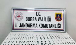 Bursa Orhangazi’de Tarihi Eser Operasyonunda 1 Kişi Tutuklandı
