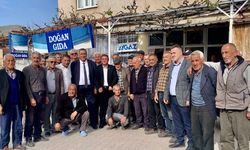 CHP'li Gürer'den 'parlamenter sistem' çağrısı