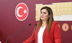 CHP’li Kılıç’tan ‘ölmedim’ paylaşımı: "Görevimin başındayım"