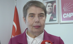 CHP'den "Cezaevleri ve Sağlık Çalıştayı": Cezaevlerinde sağlık hakkı masaya yatırılacak