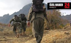 PKK kendini feshetti, şimdi ne olacak?