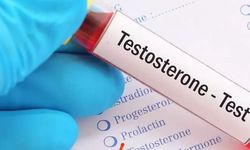 Testosteron Nedir? Vücuttaki Rolü, Eksikliği ve Tedavi Yöntemleri
