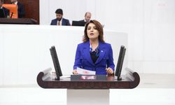 CHP'li Kış: Nerede kaldı sizin sözde ‘ekonomik istikrarınız?