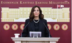 DEVA Partili Rızvanoğlu'ndan zeytinliklerin madenlere açılmasına tepki: "Türkiye'yi parsel parsel ruhsatlama teklifi"