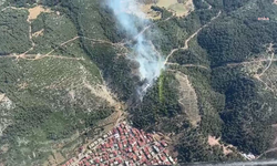 Manisa Soma’da bir orman yangını daha!