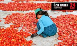 Görünmeyen emeğin ardındaki gerçek: Çocuk işçiliği alarm veriyor