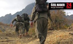 7 soruda “Terörsüz Türkiye” süreci: PKK ne zaman silah bırakacak?