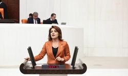 CHP'li Kış, Mehmet Şimşek'e seslendi: "Her 4 kişiden 1'i icralık"