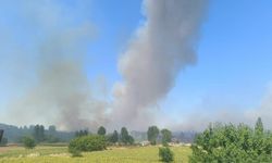 Edirne Keşan’da Orman Yangını: Alevlere Havadan ve Karadan Müdahale Sürüyor