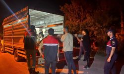 Yozgat Çayıralan’da Şap Karantinası İhlaline Para Cezası