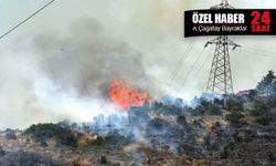 Bakımsız elektrik hatları ormanlar kadar kentler için de tehlike taşıyor