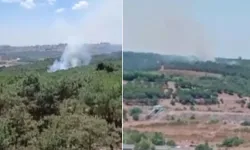 Son dakika! İstanbul Sultangazi Kent Ormanı'nda yangın