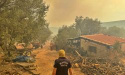 OGM: Tekirdağ ve Çanakkale'de yangınlara müdahale sürüyor