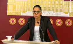 TİP'li Kadıgil: "Bu ülkede maden şirketlerinin devleti var ama halkın bir devleti yok"