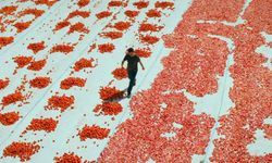 Türkiye’nin 2025 Oscar adayı filmi belli oldu