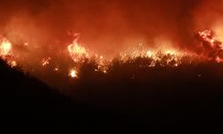 Hatay Hassa’da orman yangını: Bir mahalle tahliye edildi