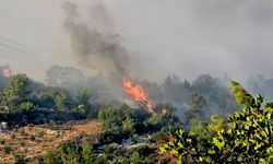 OGM: Anamur, Hassa ve Silifke yangınlarına müdahale sürüyor