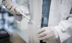 Anti HIV Nedir? HIV Tedavisinde Kullanılan İlaçlar ve Önemi