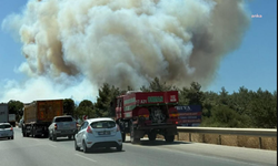 Çanakkale'nin Dardanos mevkisinde orman yangını