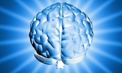 Endorfin Nedir? Mutluluk Hormonu Olarak Bilinen Beynin Doğal Kimyası