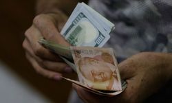 ING raporu: Dolar/TL bir yılda 50'yi aşabilir