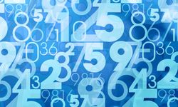 Tam Sayı Nedir? İşte Matematiğin Temel Taşlarından Biri