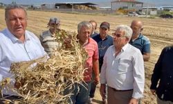 CHP'li Gürer: "TMO yerli üreticiyi tüccarın eline bırakıp ithalatçı konuma getirdi"