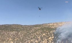 Şırnak Balveren'deki orman yangını kontrol altına alındı