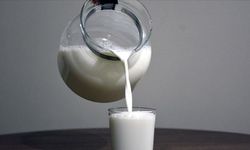 Süt ve süt ürünleri üretimi haziranda sınırlı değişim gösterdi