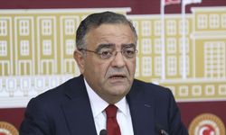 Sezgin Tanrıkulu: Sinem Dedetaş'tan suç örgütü lideri çıkmaz