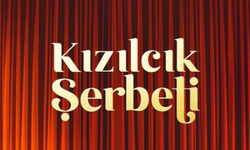 Kızılcık Şerbeti yeni sezon ne zaman başlıyor? Nursema neden Kızılcık Şerbeti'nden ayrıldı? Kadroda yeni değişiklikler