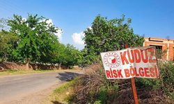 Van Edremit'te kuduz karantinası: 7 mahalle için tedbir kararı verildi