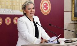 İstanbul Milletvekili Nimet Özdemir CHP'den istifa etti