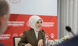 Bakan Göktaş: Engellilik alanında iki yeni alt çalışma grubu kuruldu