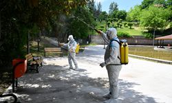 Ankara Büyükşehir Belediyesi haşere ve keneye karşı 25 ilçede ilaçlama çalışmalarına devam ediyor