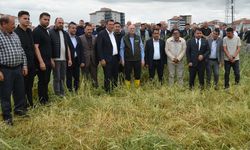 Kahramankazan’da dolu tarım arazilerine zarar verdi: 10 bin dekar alan etkilendi