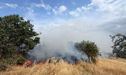 Balıkesir Sındırgı yangınında alevlere havadan ve karadan müdahale edildi