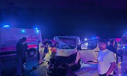Bingöl'de feci trafik kazası: Araç ata çarptı, 1 ölü 2 yaralı